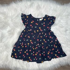 Emmas Garden adorable Swing Dress : Size 12 Months